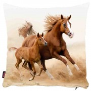 At Desenli Yastık Kılıfı-4